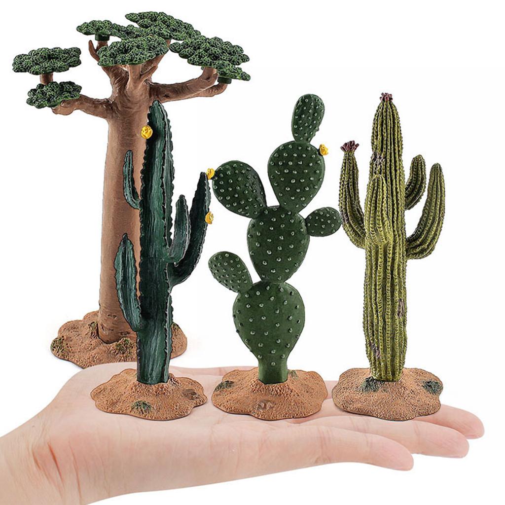 Modelo de Cactus de Simulación - Kids Toys In Store reseña y precio