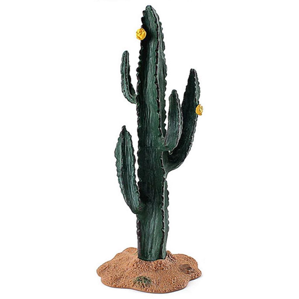 Modelo de Cactus de Simulación - Kids Toys In Store reseña y precio